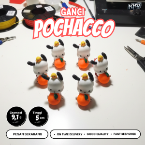 Ganci Pochacco