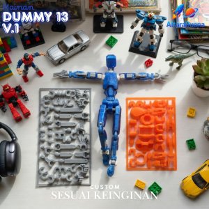 Dummy 13 V.1